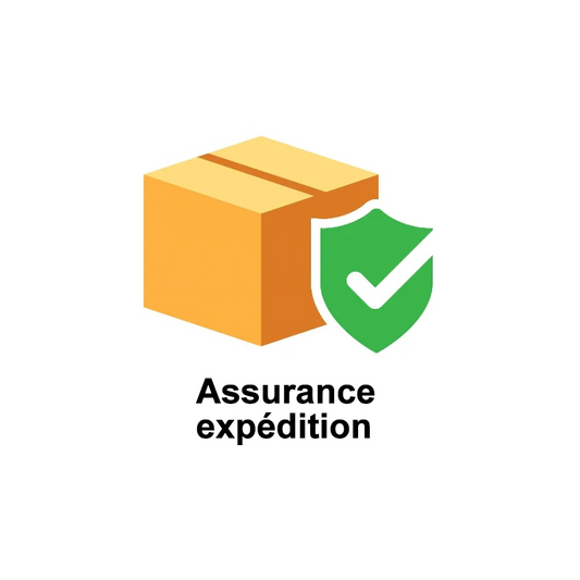 Assurance expédition